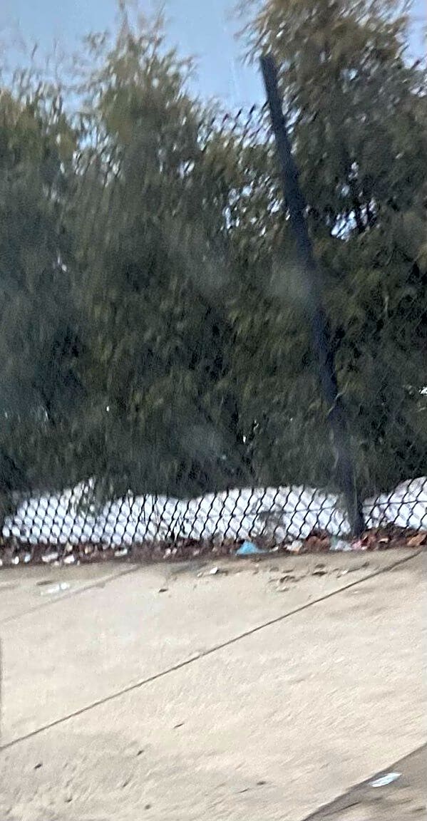 Image submitted with report