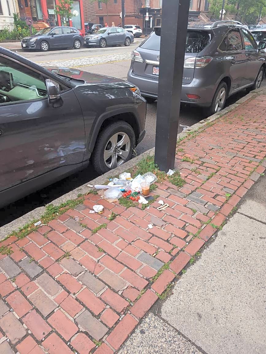 Image submitted with report