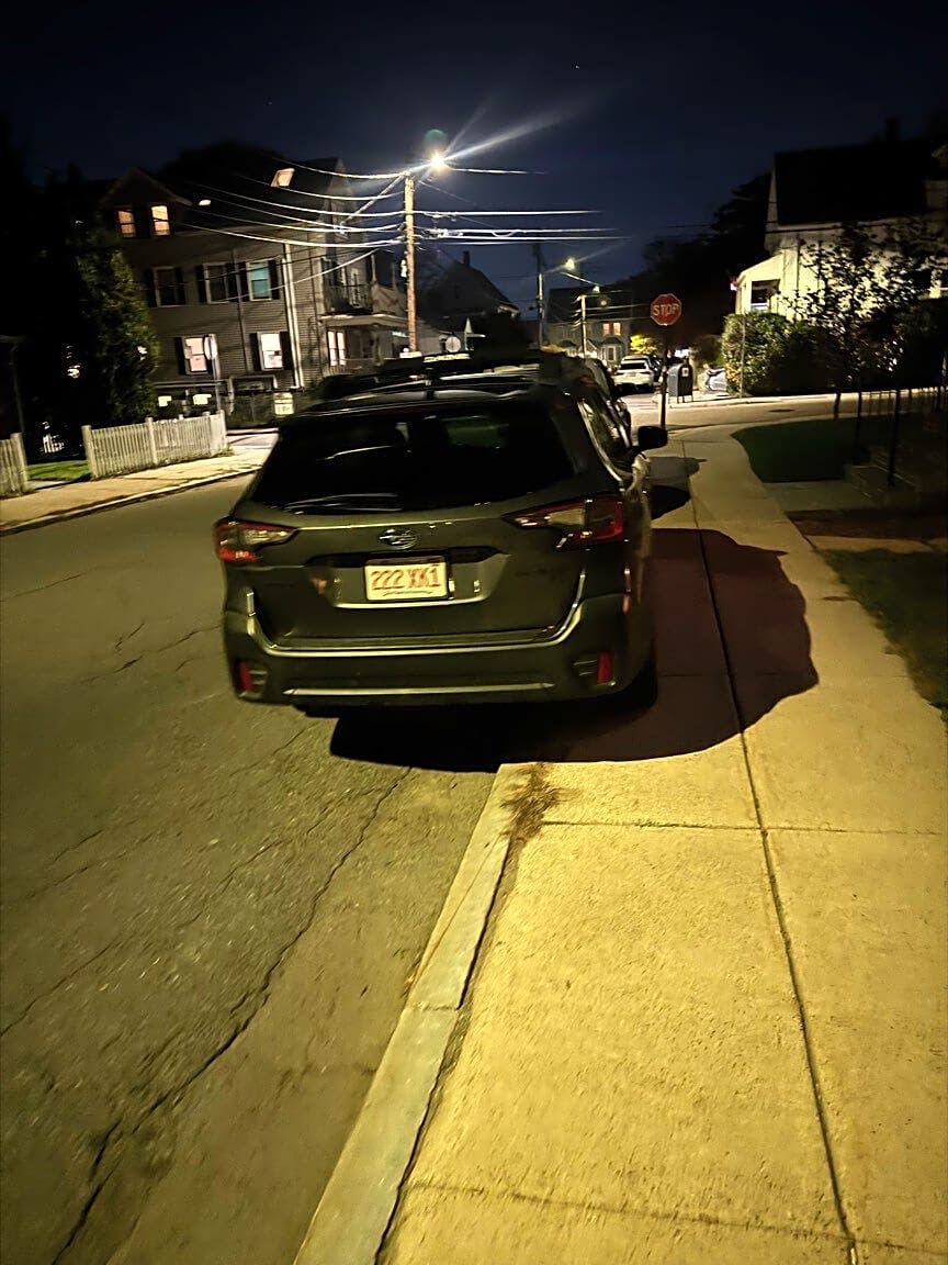 Image submitted with report