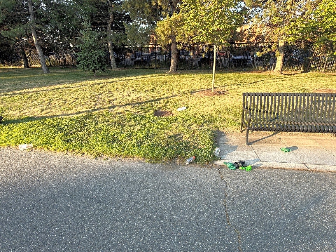 Image submitted with report