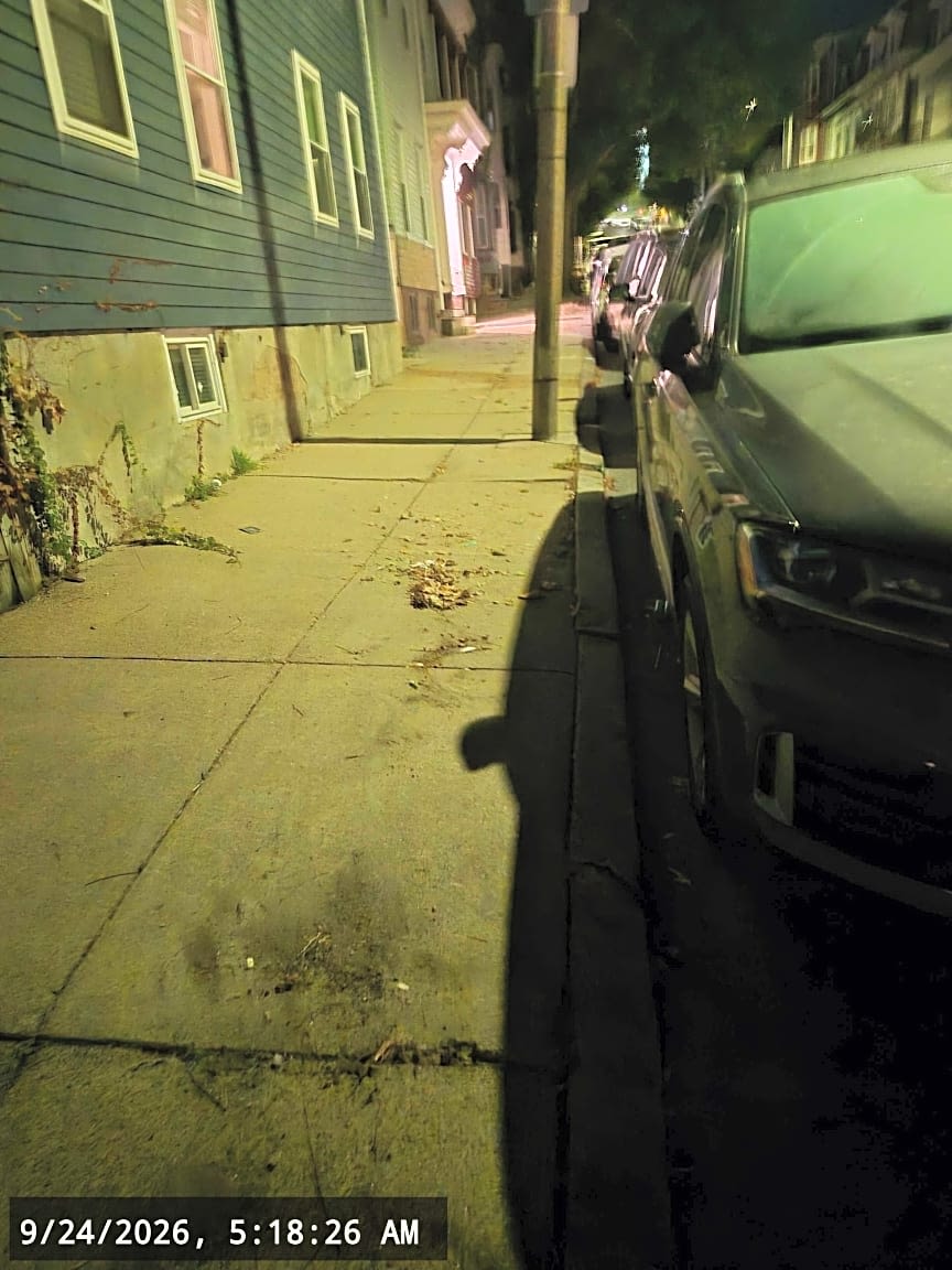 Image submitted with report