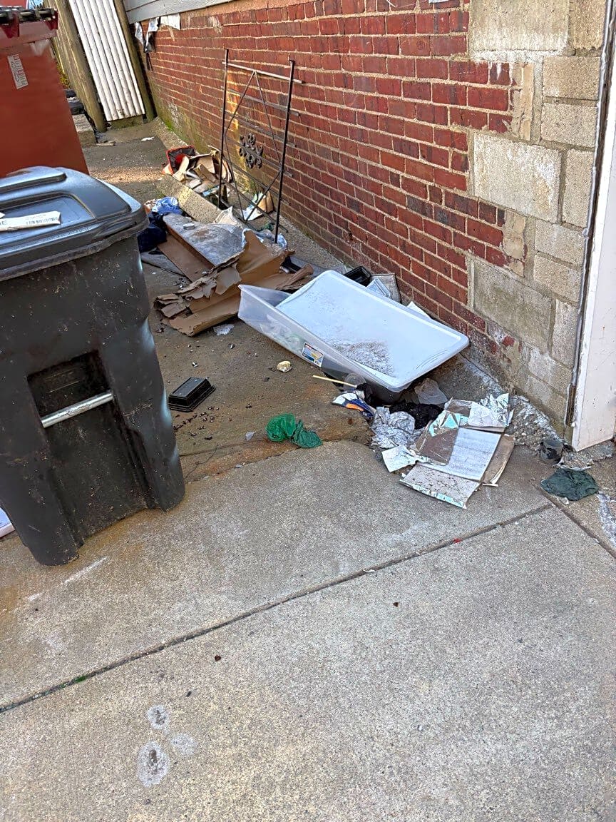 Image submitted with report