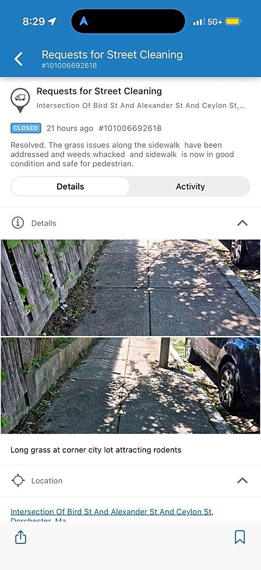 Image submitted with report