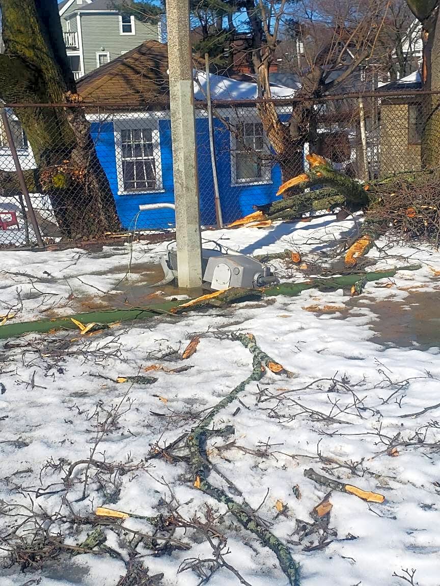 Image submitted with report