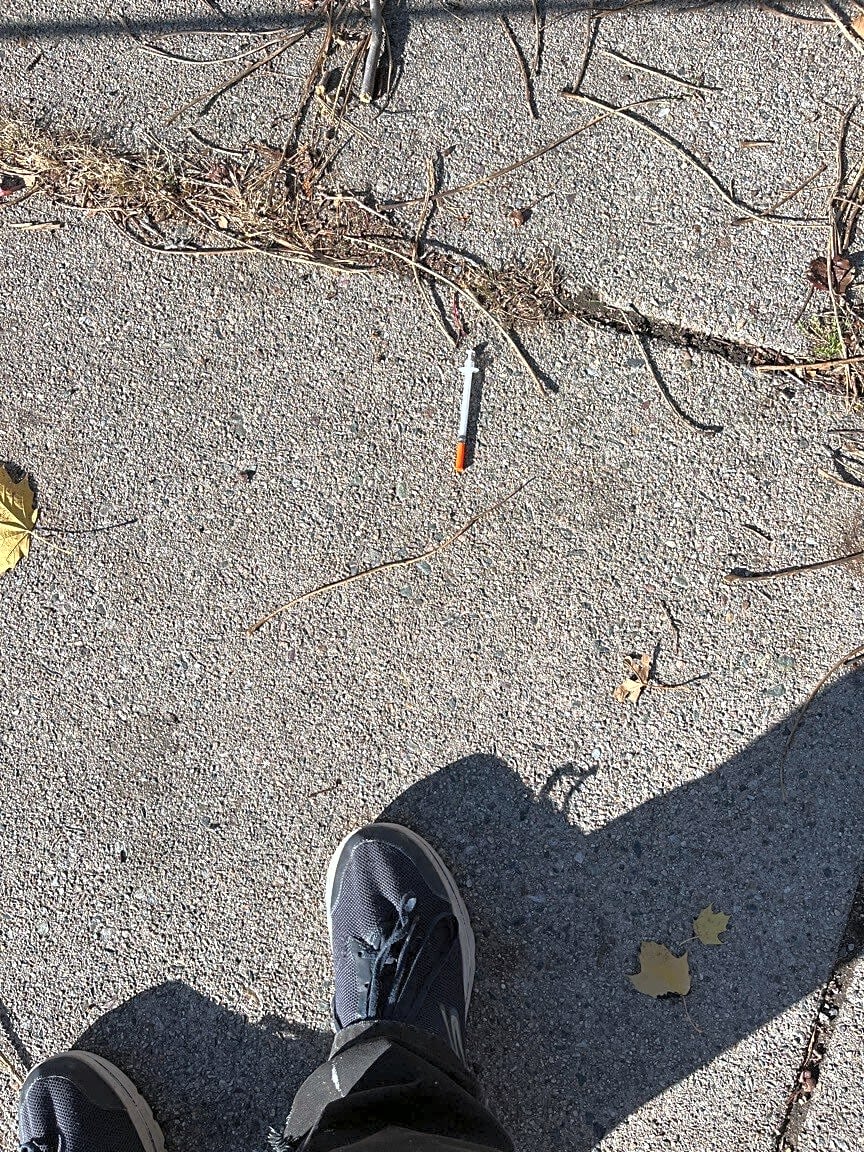 Image submitted with report