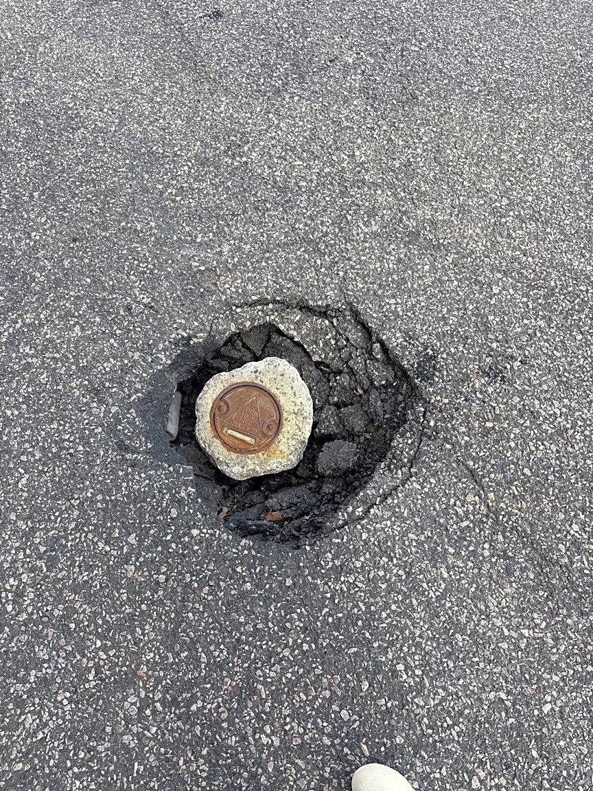 Image submitted with report