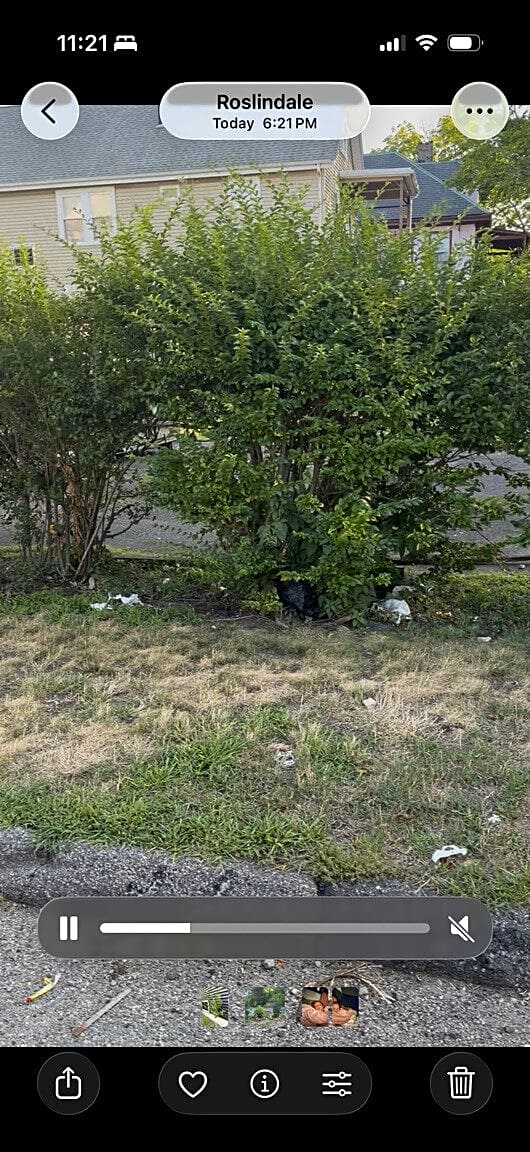 Image submitted with report