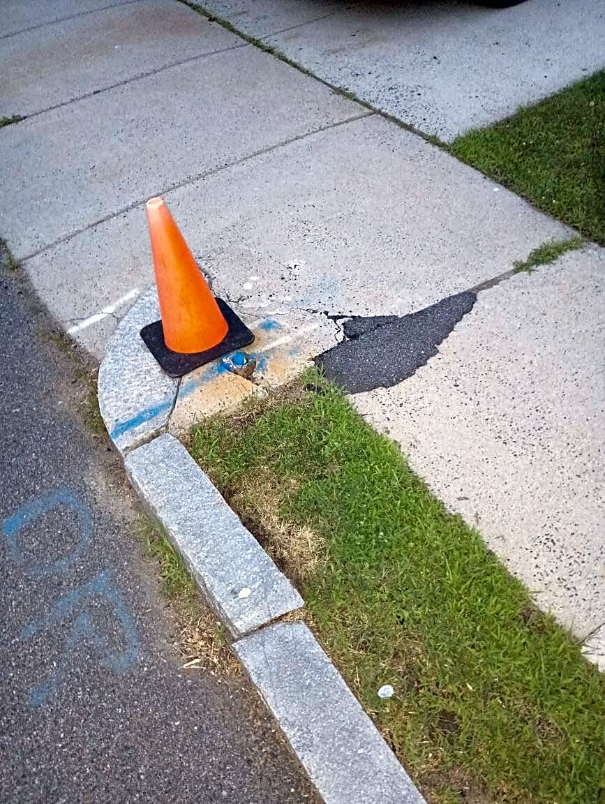 Image submitted with report