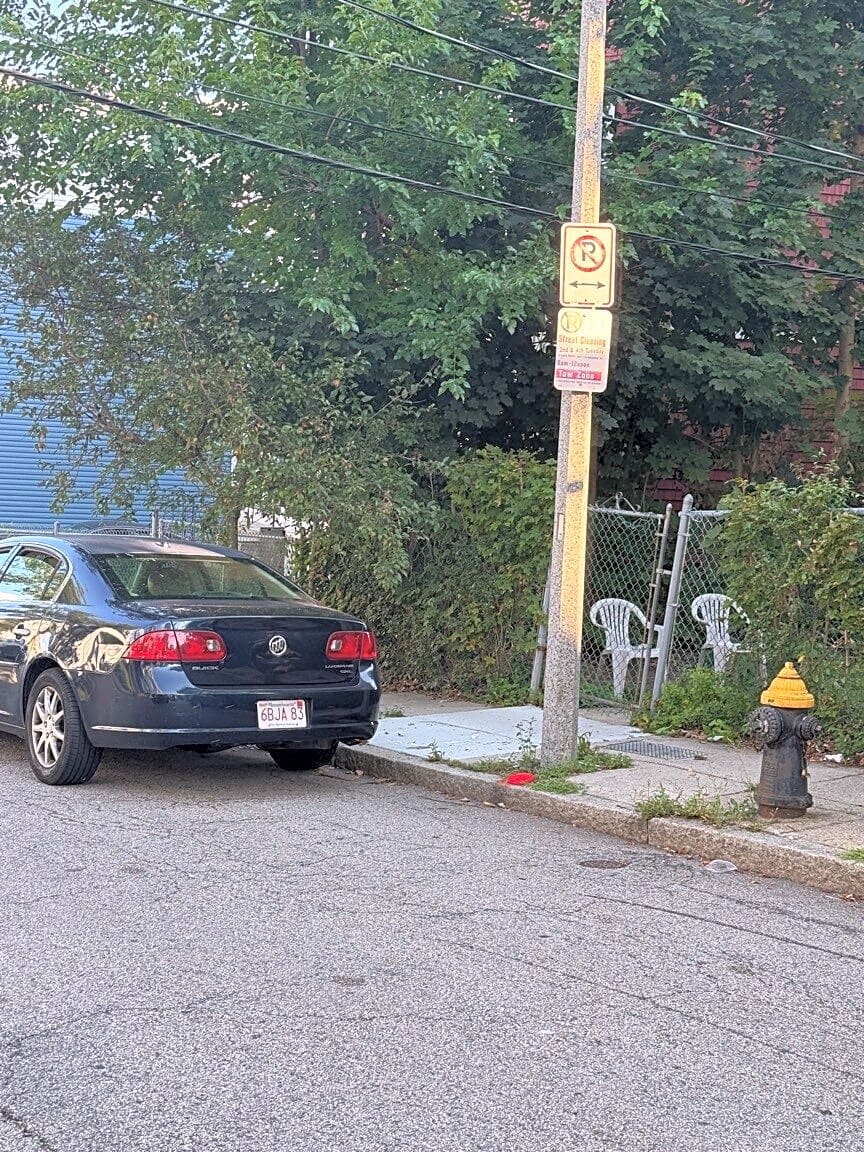Image submitted with report