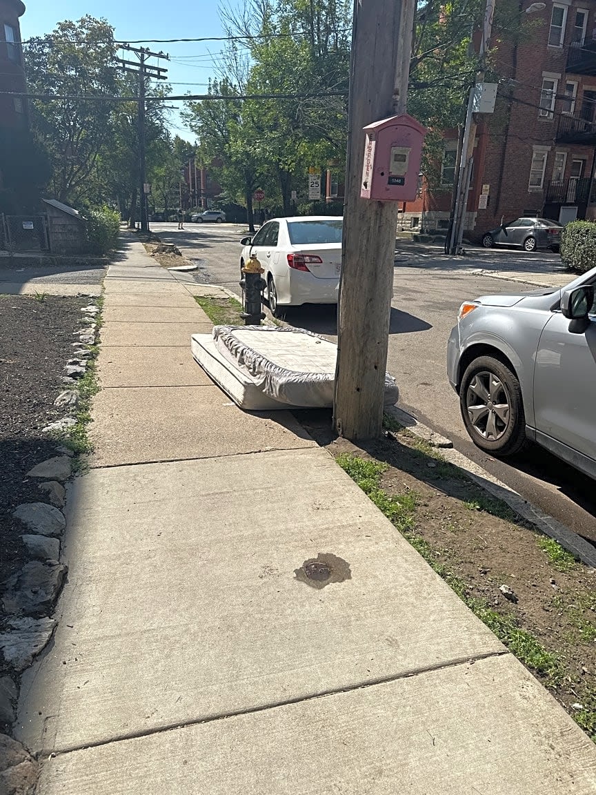 Image submitted with report