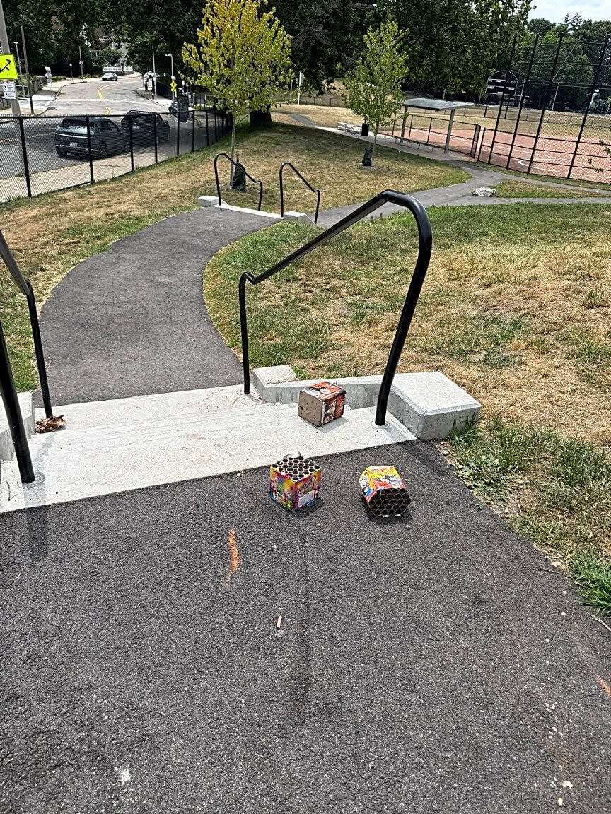Image submitted with report