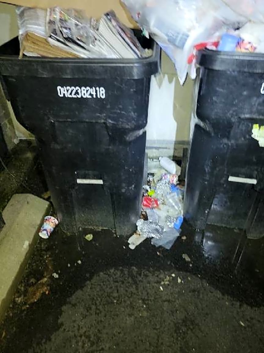 Image submitted with report