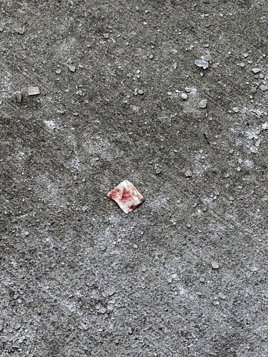 Image submitted with report