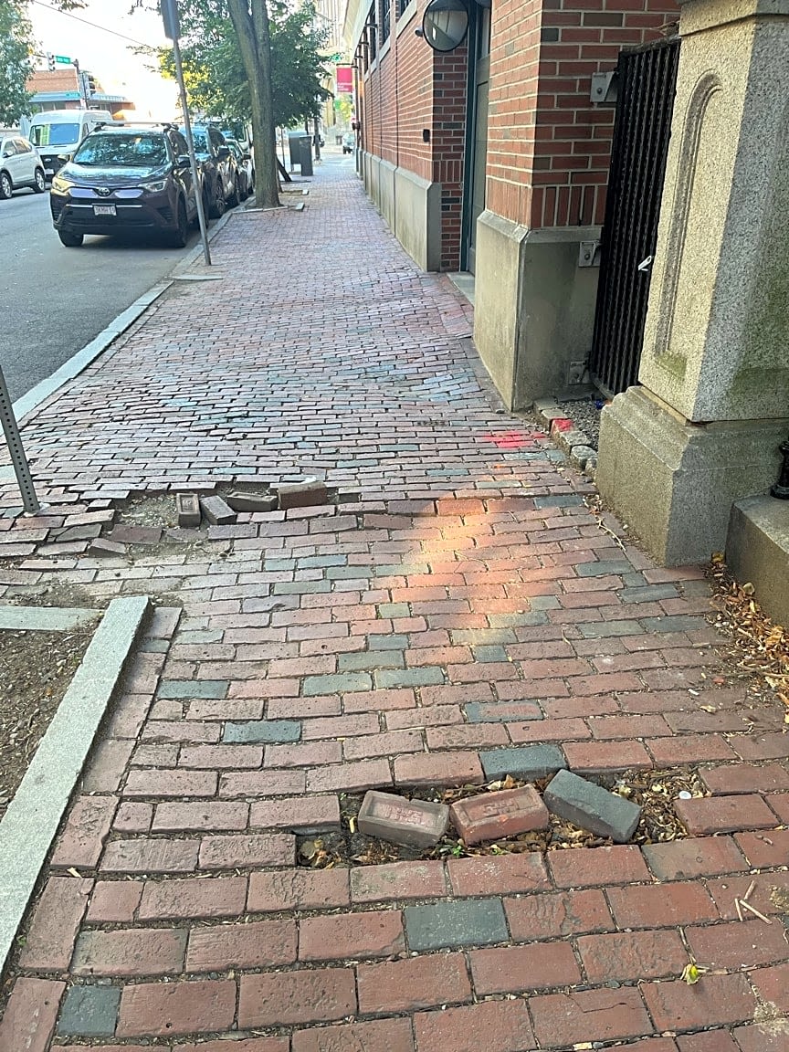 Image submitted with report