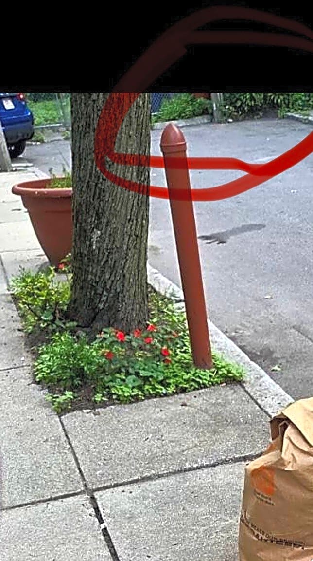 Image submitted with report