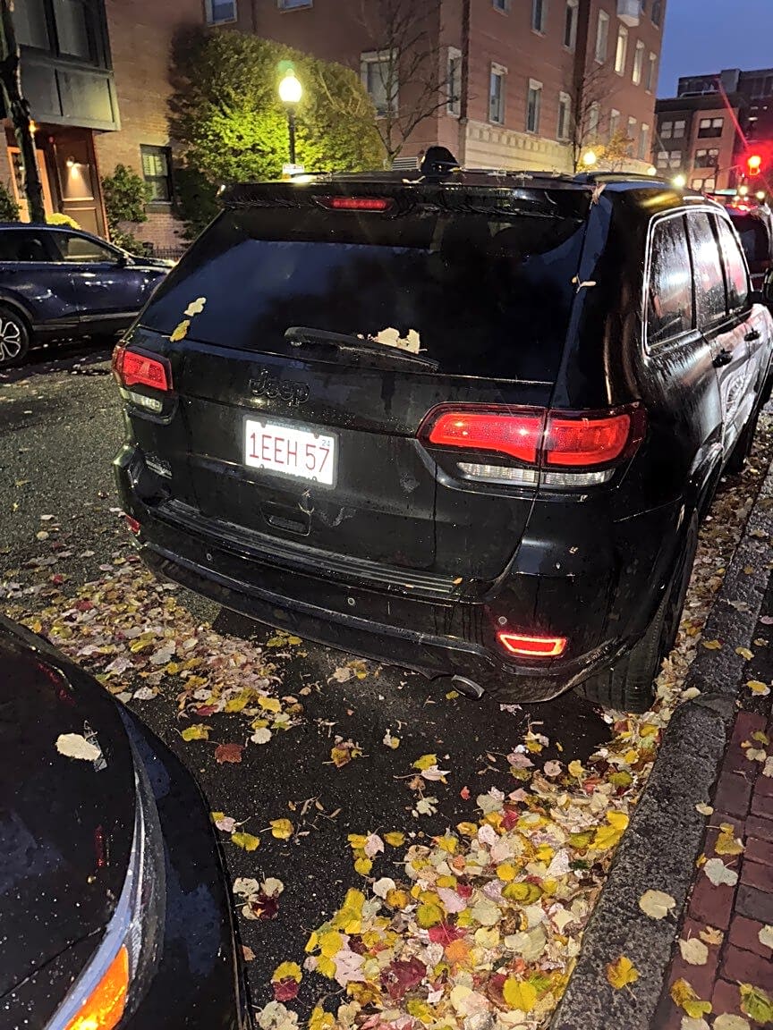 Image submitted with report