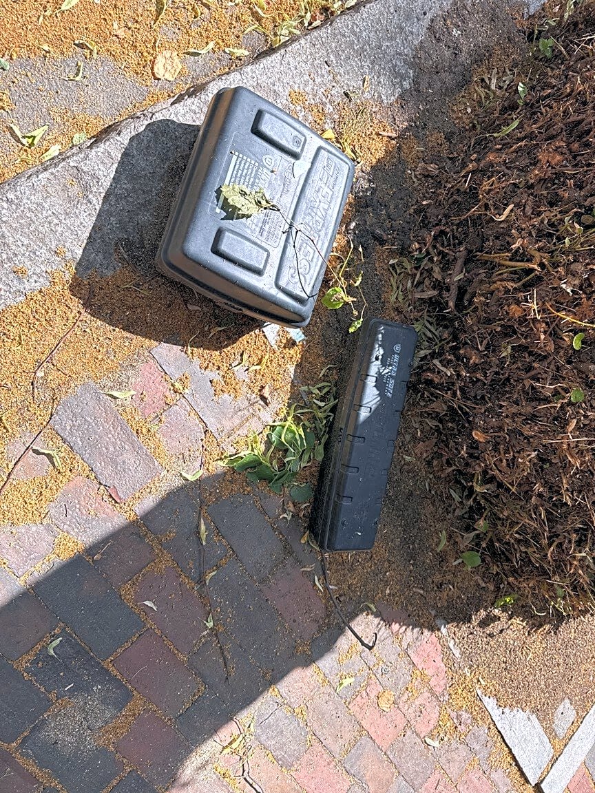 Image submitted with report