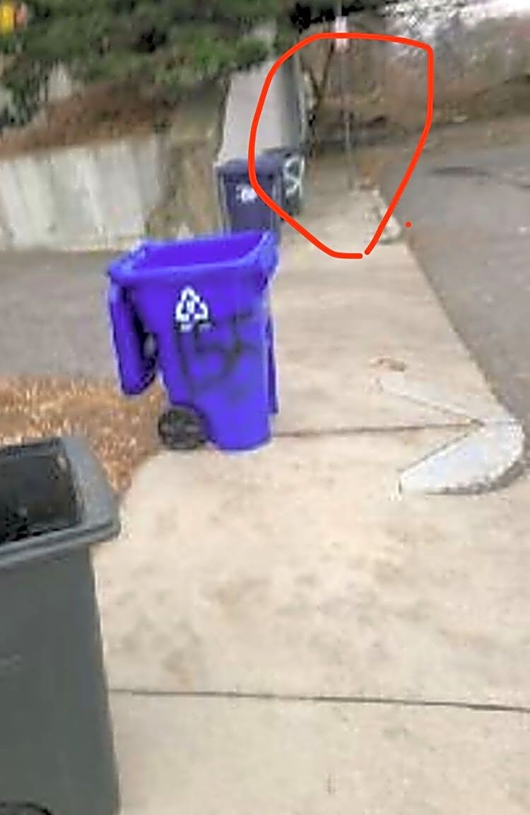 Image submitted with report