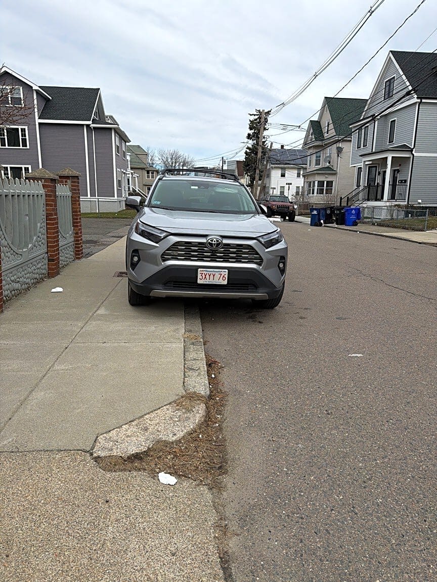 Image submitted with report