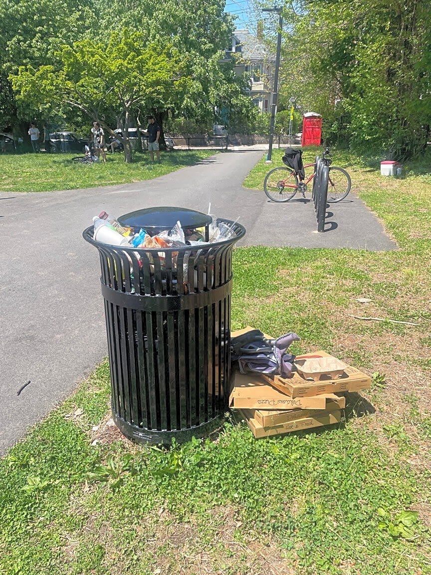 Image submitted with report