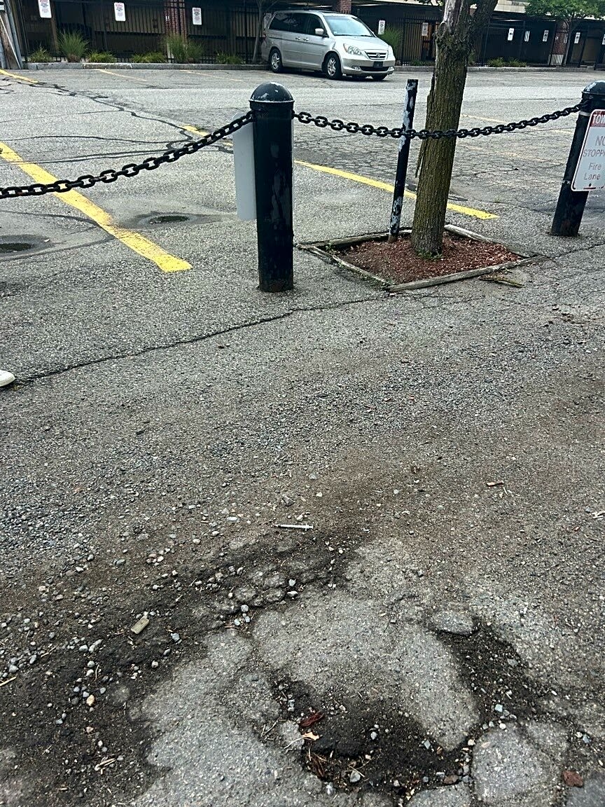 Image submitted with report