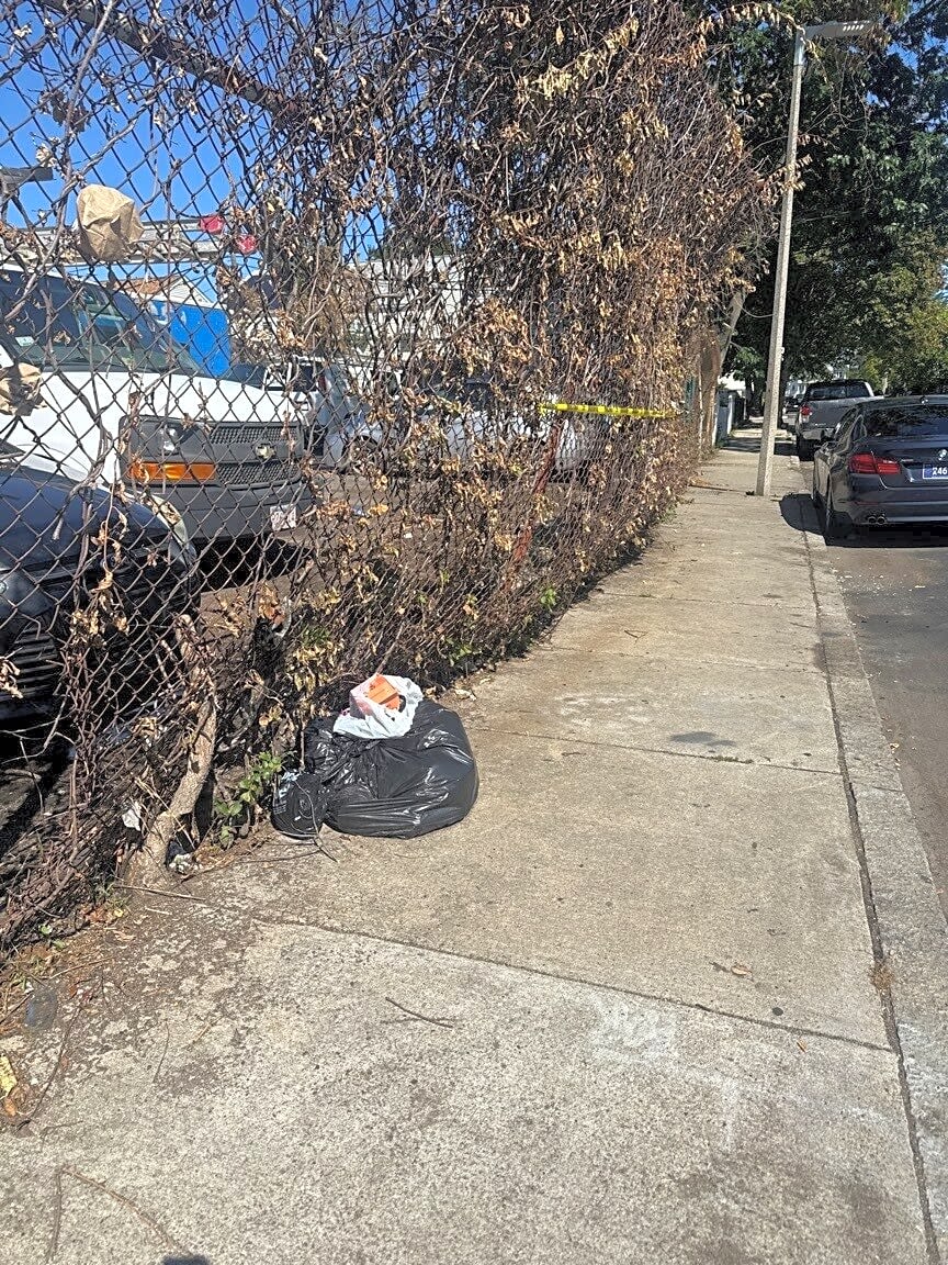 Image submitted with report