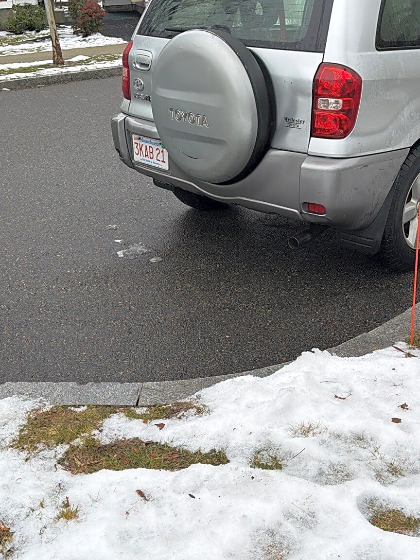 Image submitted with report