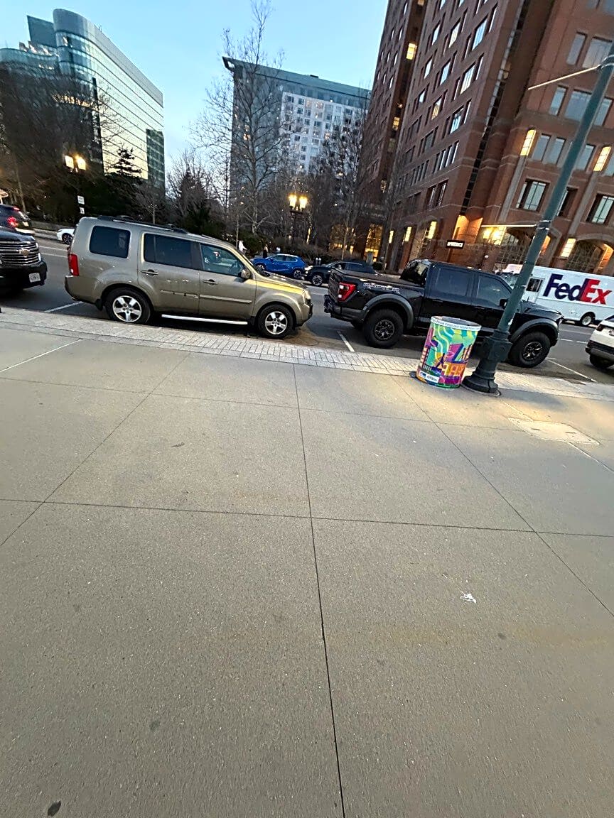 Image submitted with report