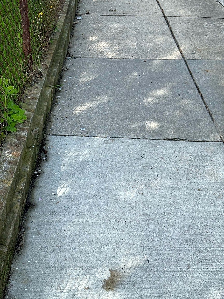 Image submitted with report