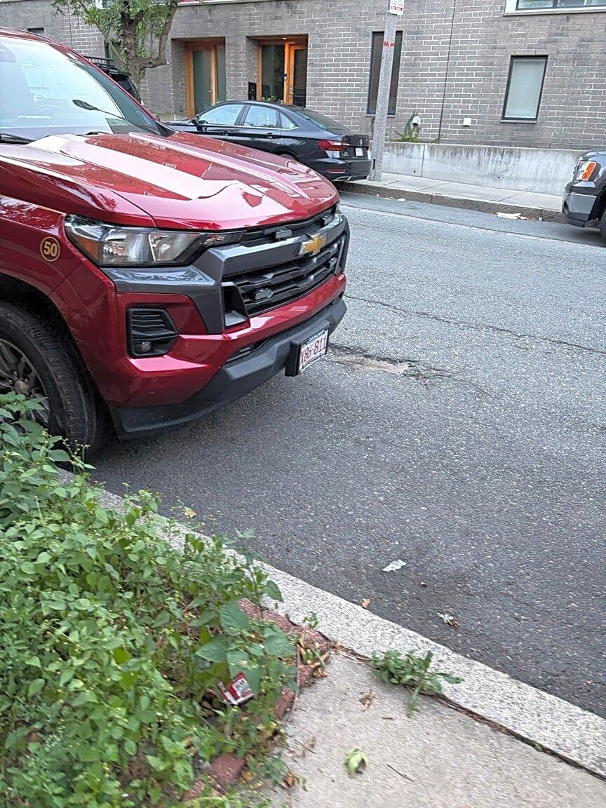 Image submitted with report