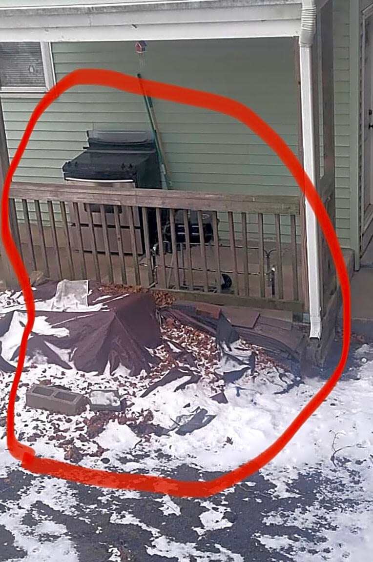 Image submitted with report