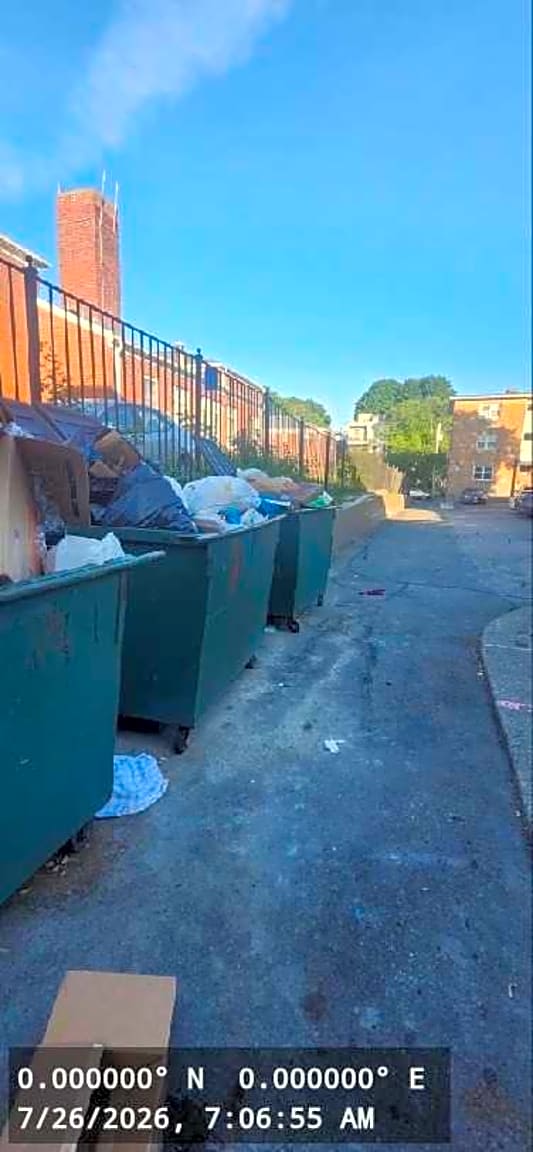 Image submitted with report