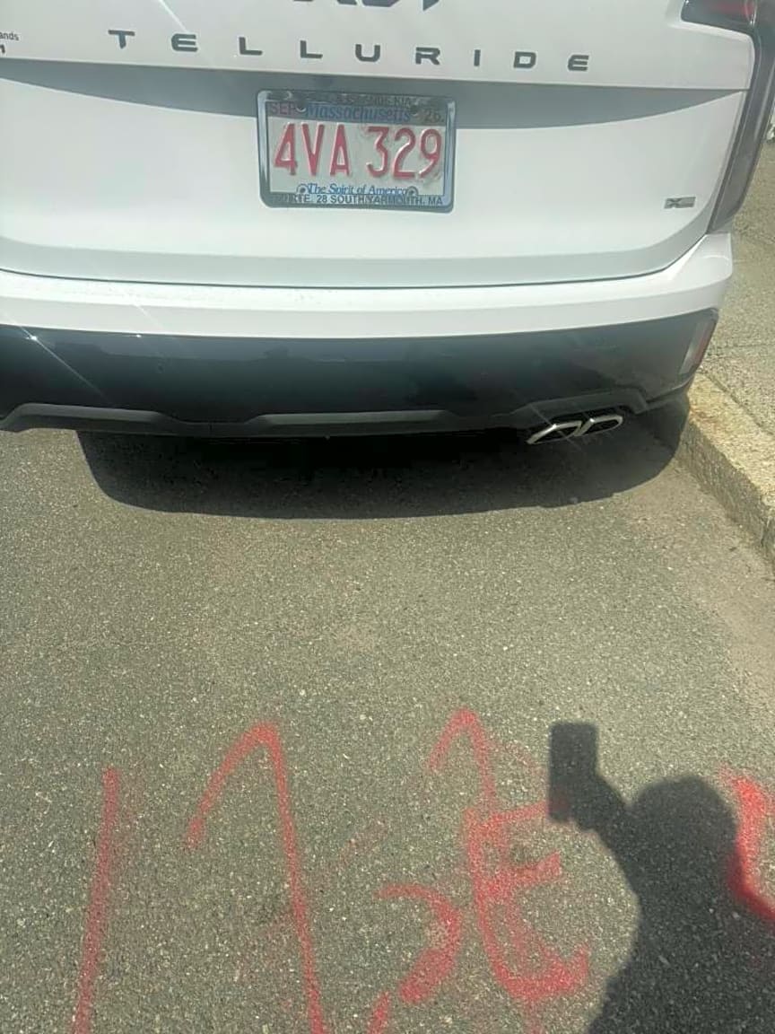 Image submitted with report