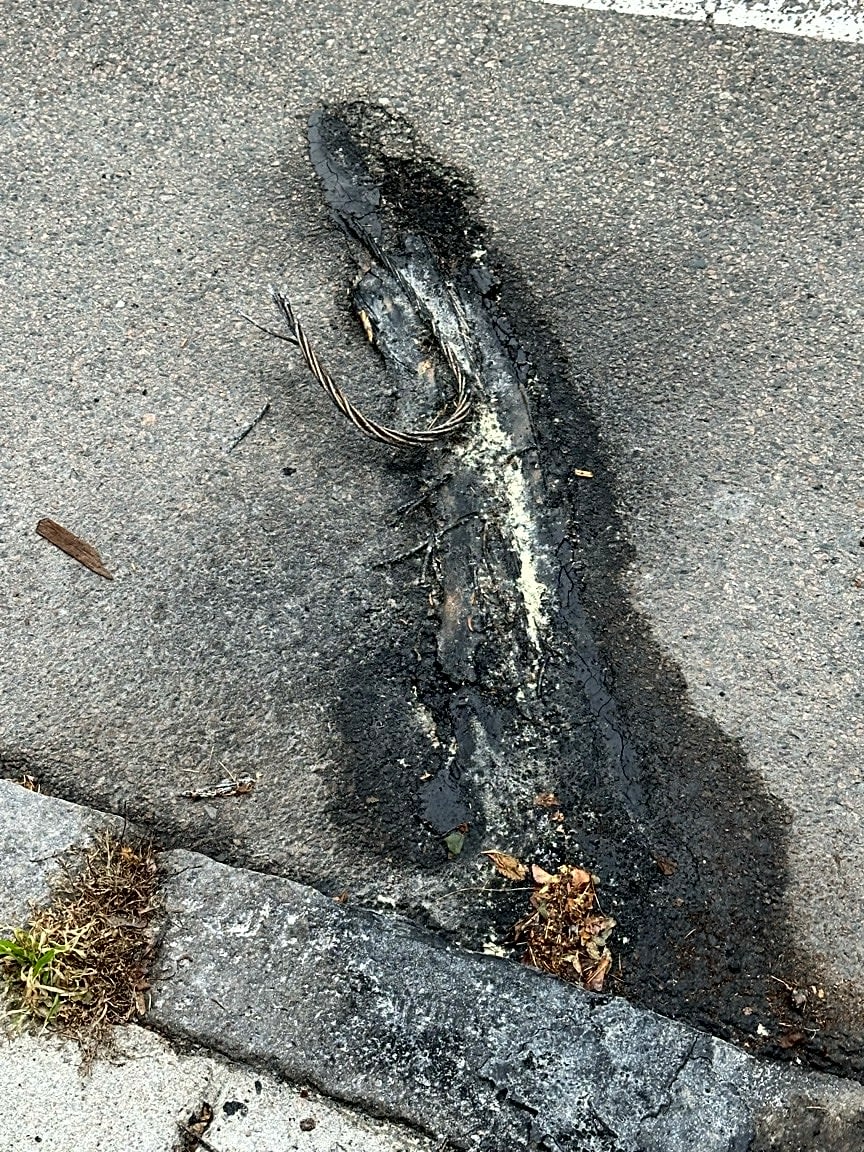 Image submitted with report