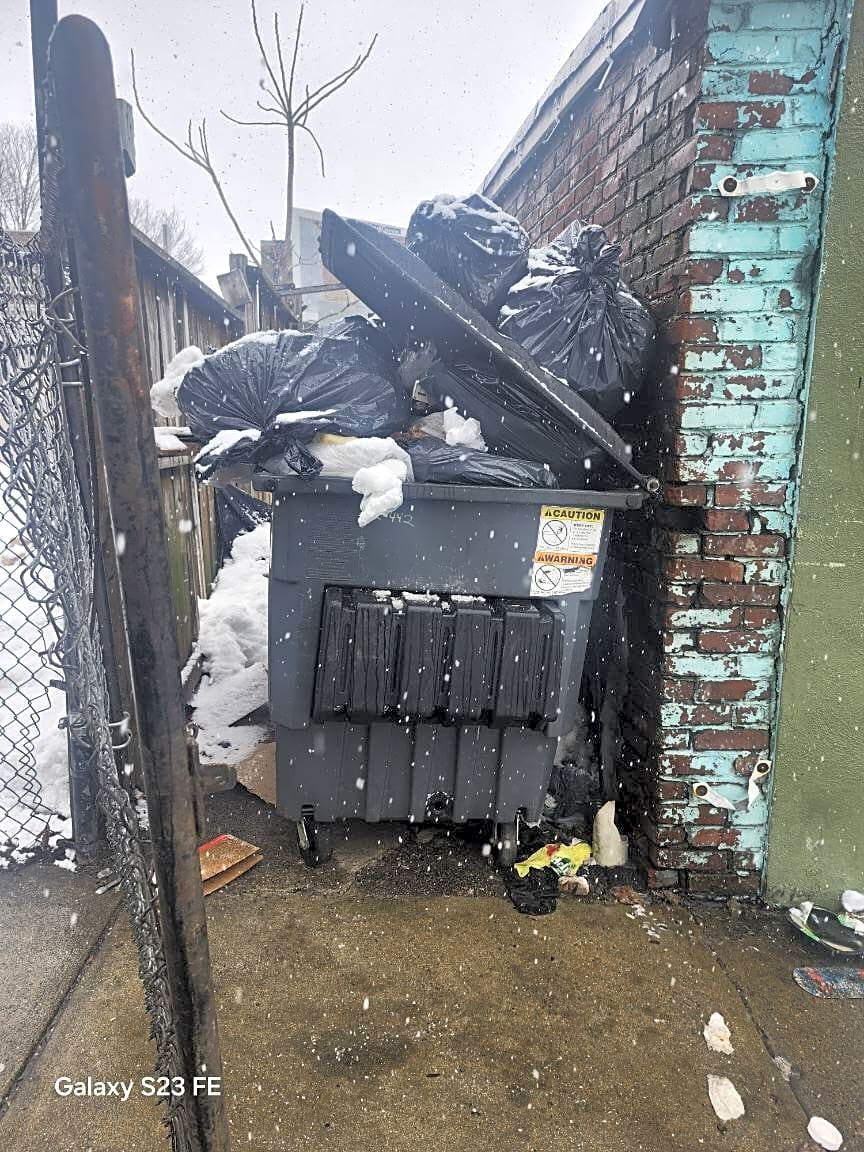 Image submitted with report