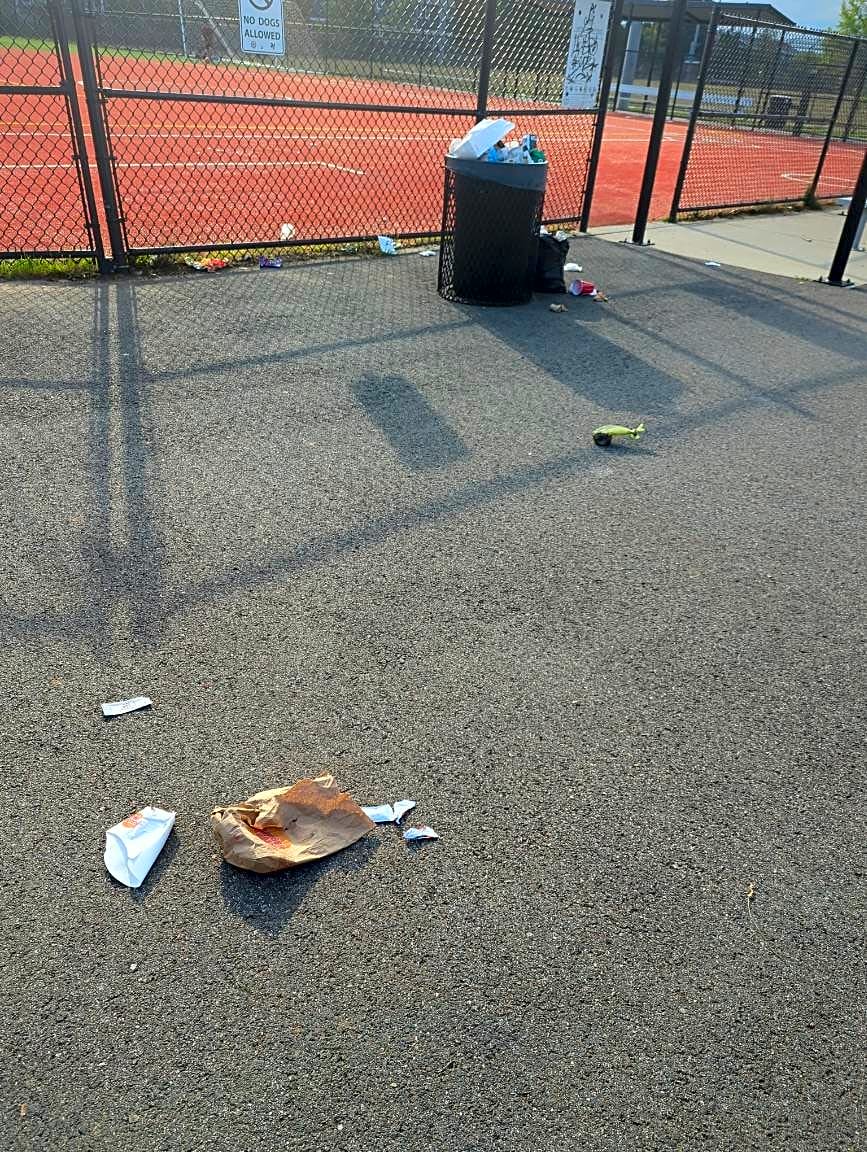 Image submitted with report