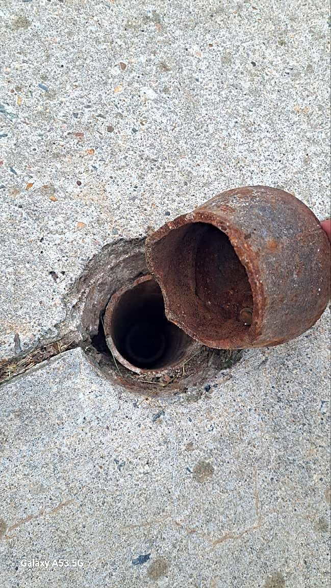 Image submitted with report
