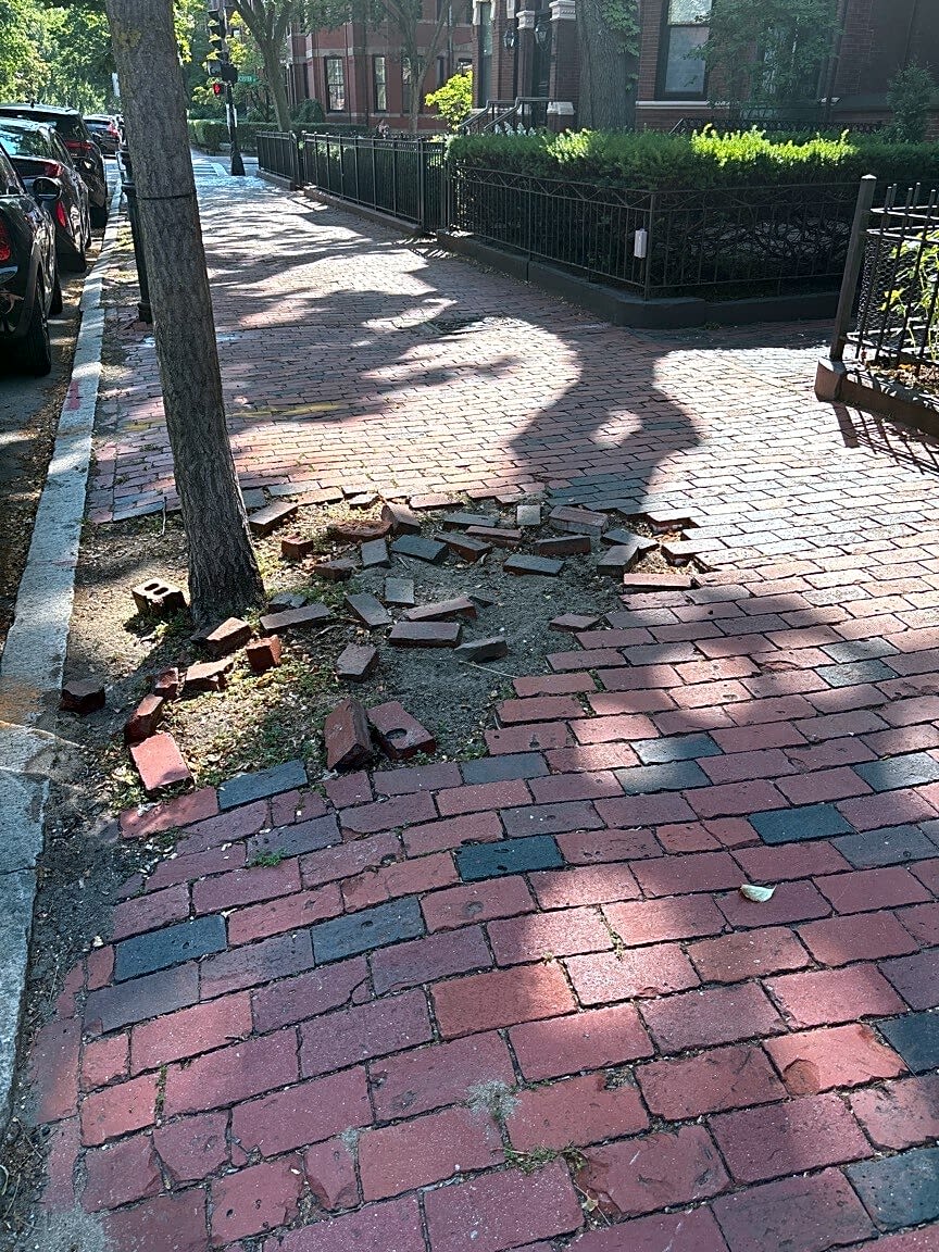 Image submitted with report