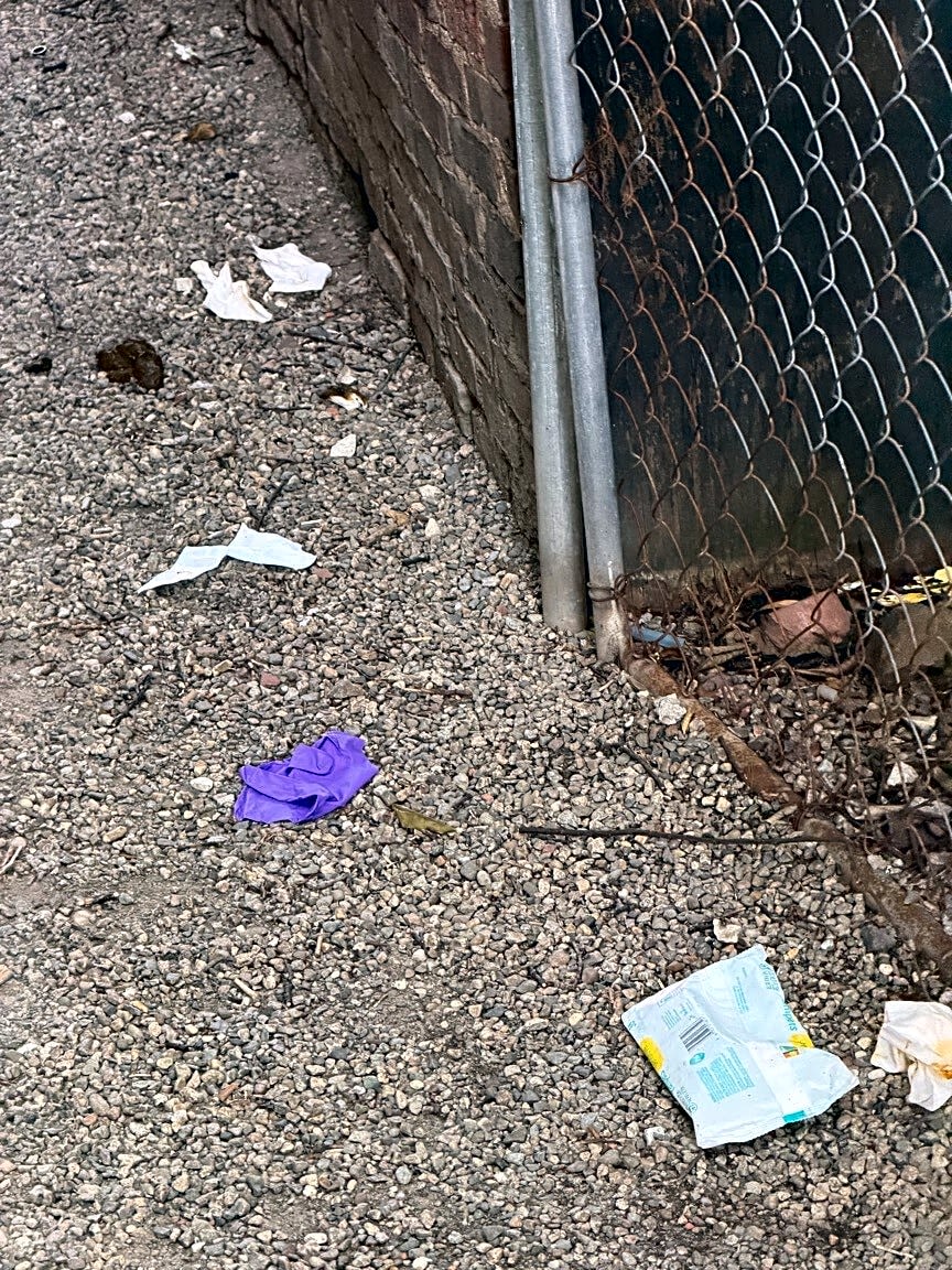 Image submitted with report
