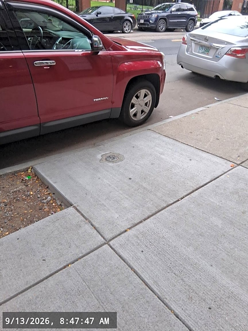 Image submitted with report