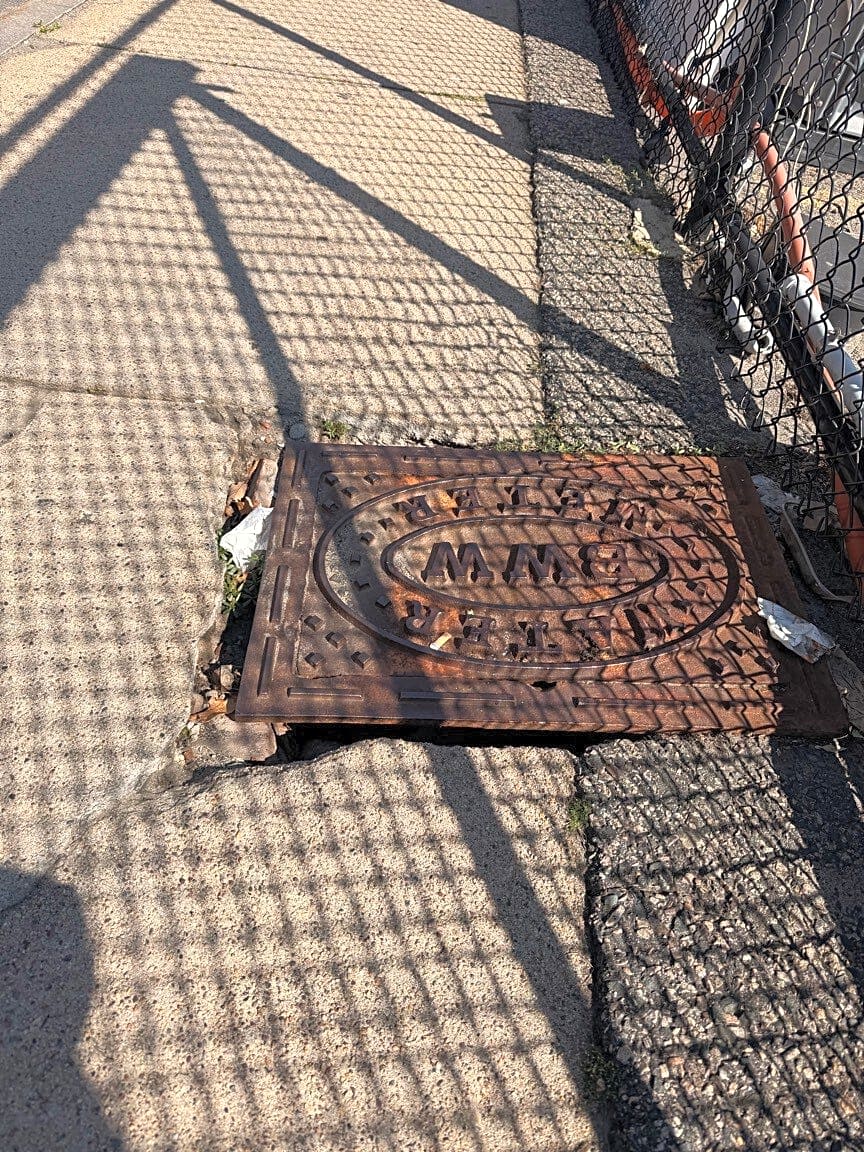 Image submitted with report