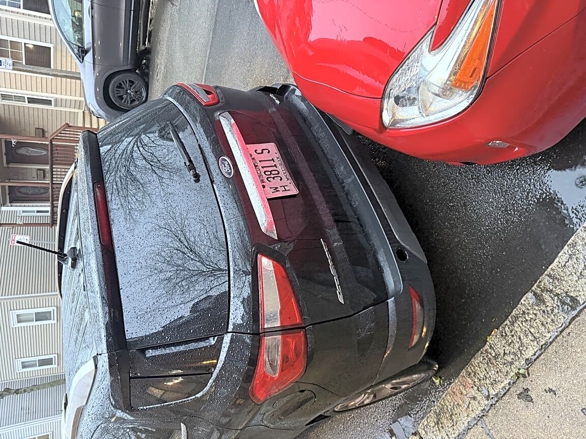 Image submitted with report