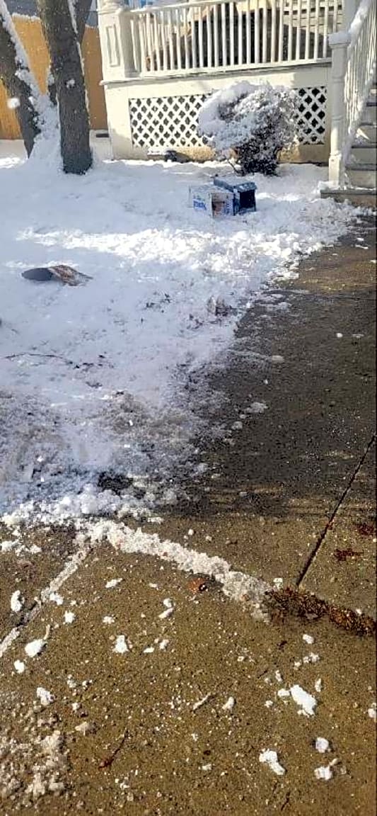 Image submitted with report