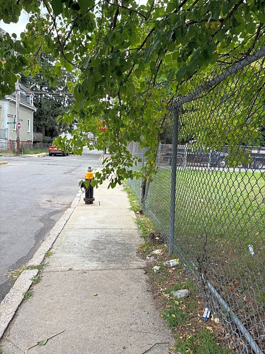 Image submitted with report