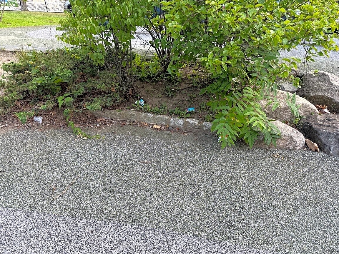 Image submitted with report