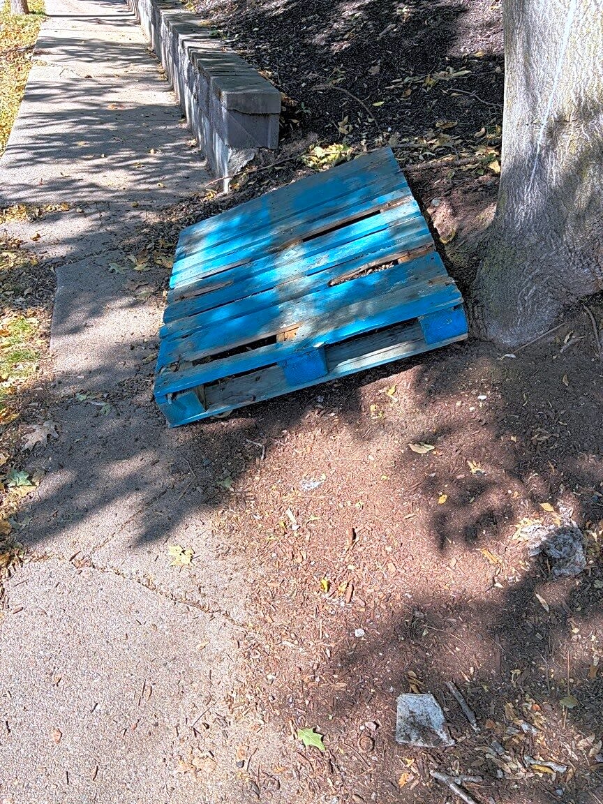 Image submitted with report