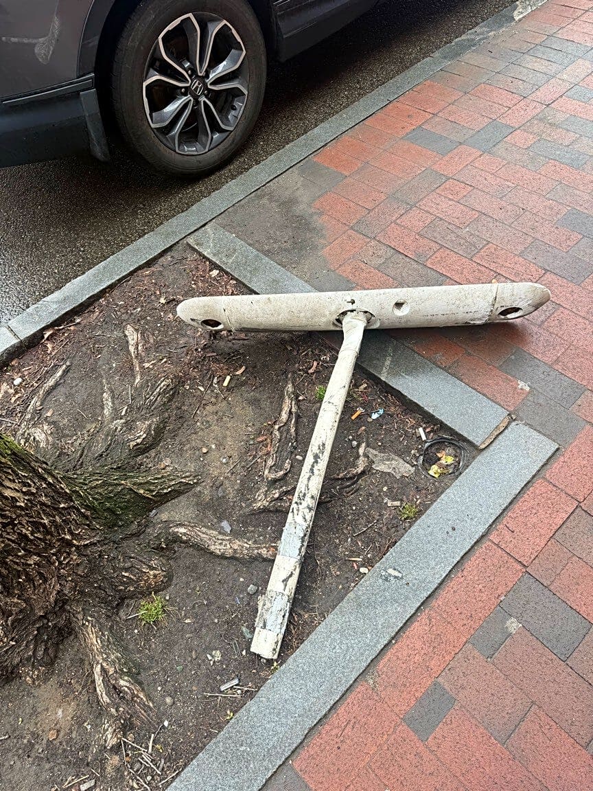 Image submitted with report