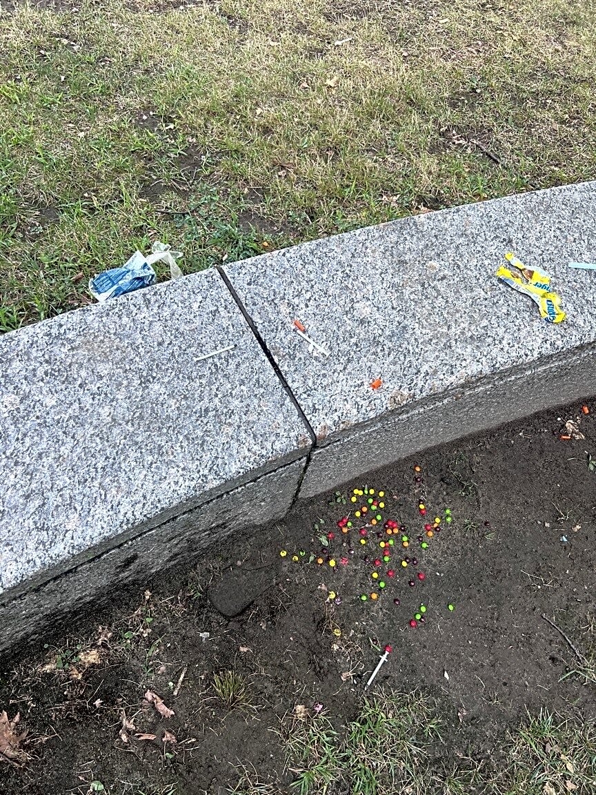 Image submitted with report
