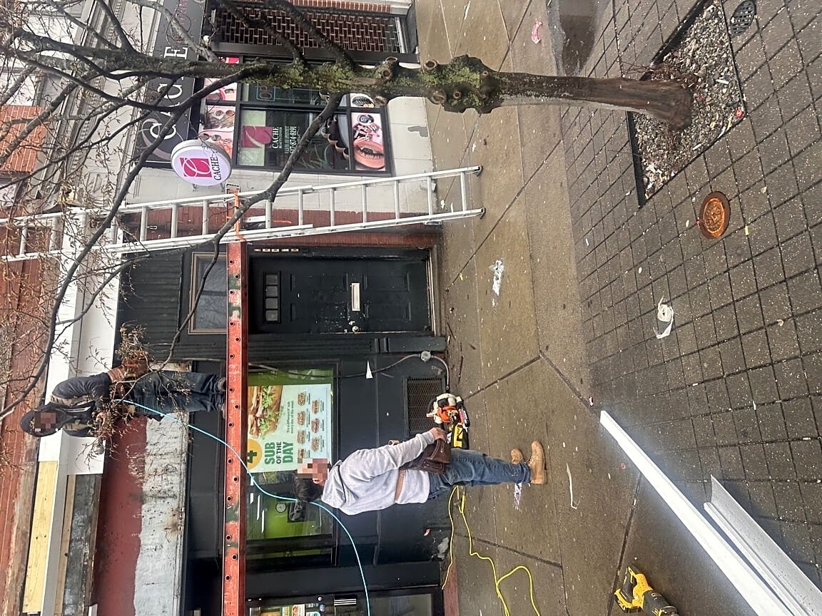 Image submitted with report