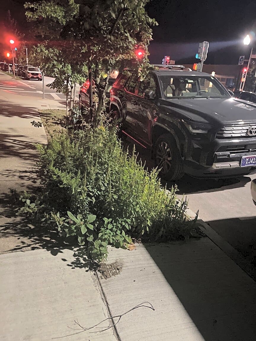 Image submitted with report